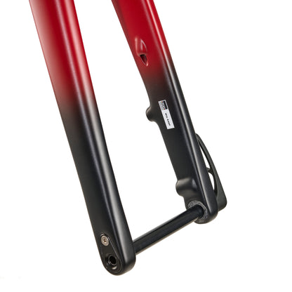 Schmolke Aerrow Frameset公路车架